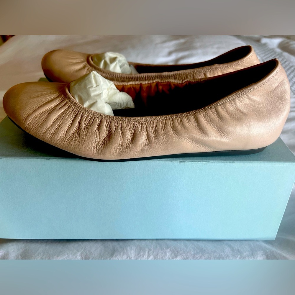 Blush pink Nude Lanvin Ballerinas